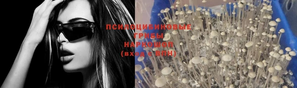 винт Лагань