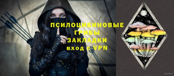 дмт Ладушкин