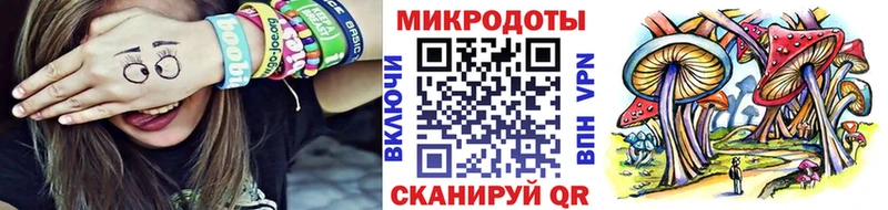 Галлюциногенные грибы Psilocybe  Чебоксары 
